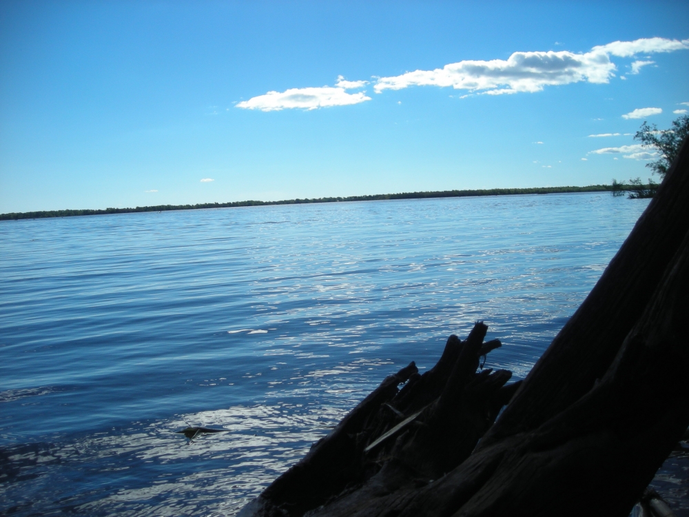 "la paz entre rios" de Alejandro Yuzteler