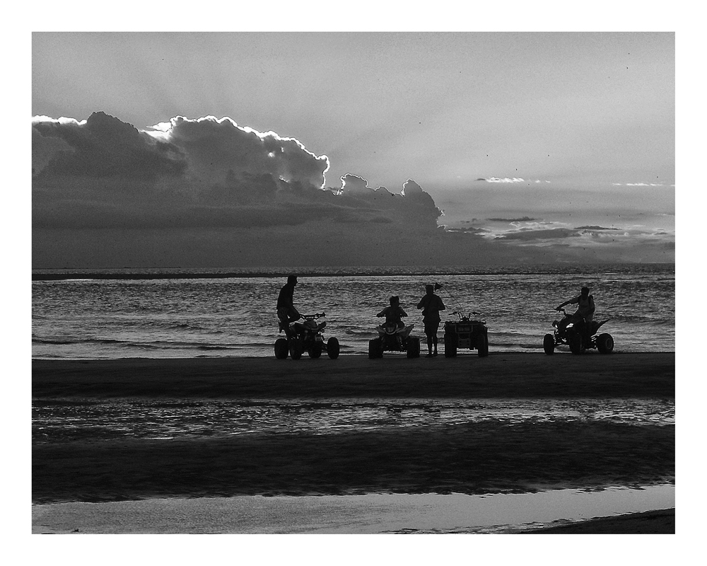 "Los guardianes de la bahia" de Analia Coccolo