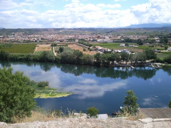 "Rio Ebro a su paso por Mora d`Ebre (Tarragona - Sp" de Neus Del Alamo