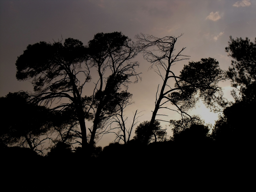 "ATARDECER" de F. J. Chamorro