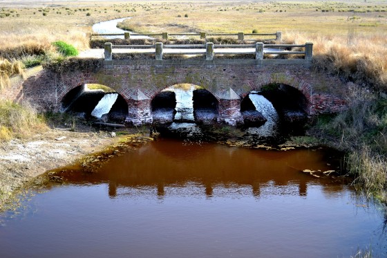 "san martin" de Gerardo Defendente