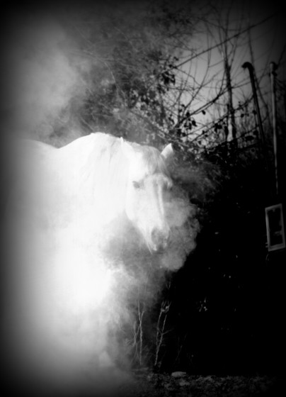 "Puro humo" de Vanesa Palacio