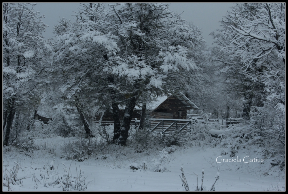 "Invierno blanco" de Graciela Gatius