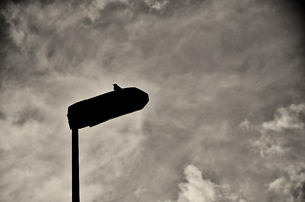 "Esperando en la farola" de Roberto Jorge Escudero