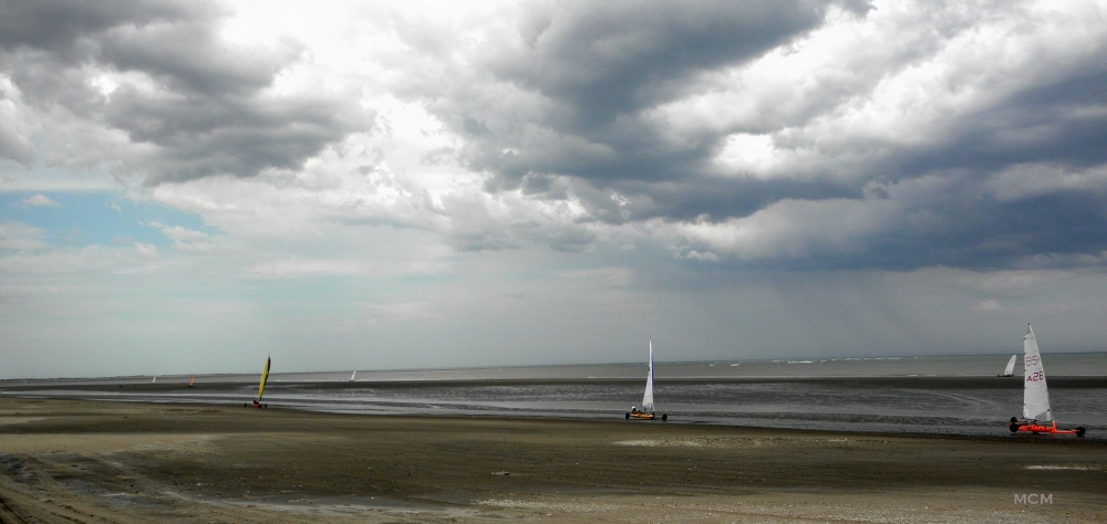 "Disfrutando del Viento" de Martn Crudo Martnez