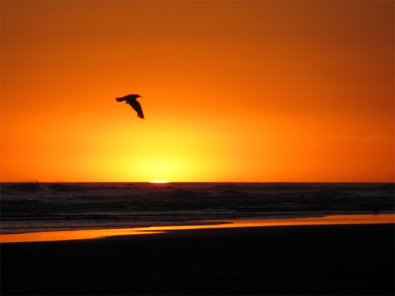 "Uno y todos los atardeceres de Claromec" de Martn Bordals