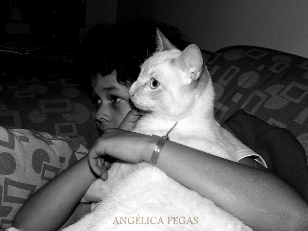 "MY SOBRINO Y SU GATITO..(CSME ).. HEHHE" de Anglica Pegas