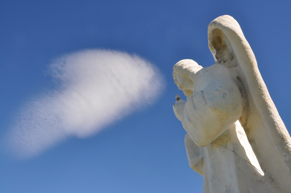 "el angel, el cielo y dios..." de Jose Alberto Vicente