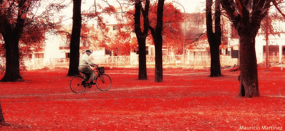 "Parque San Martn" de Mauricio Martinez