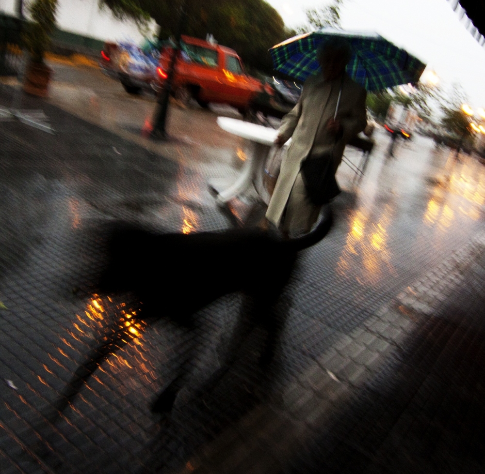 "tarde en la lluvia" de Ruben Sergio Cargnelutti