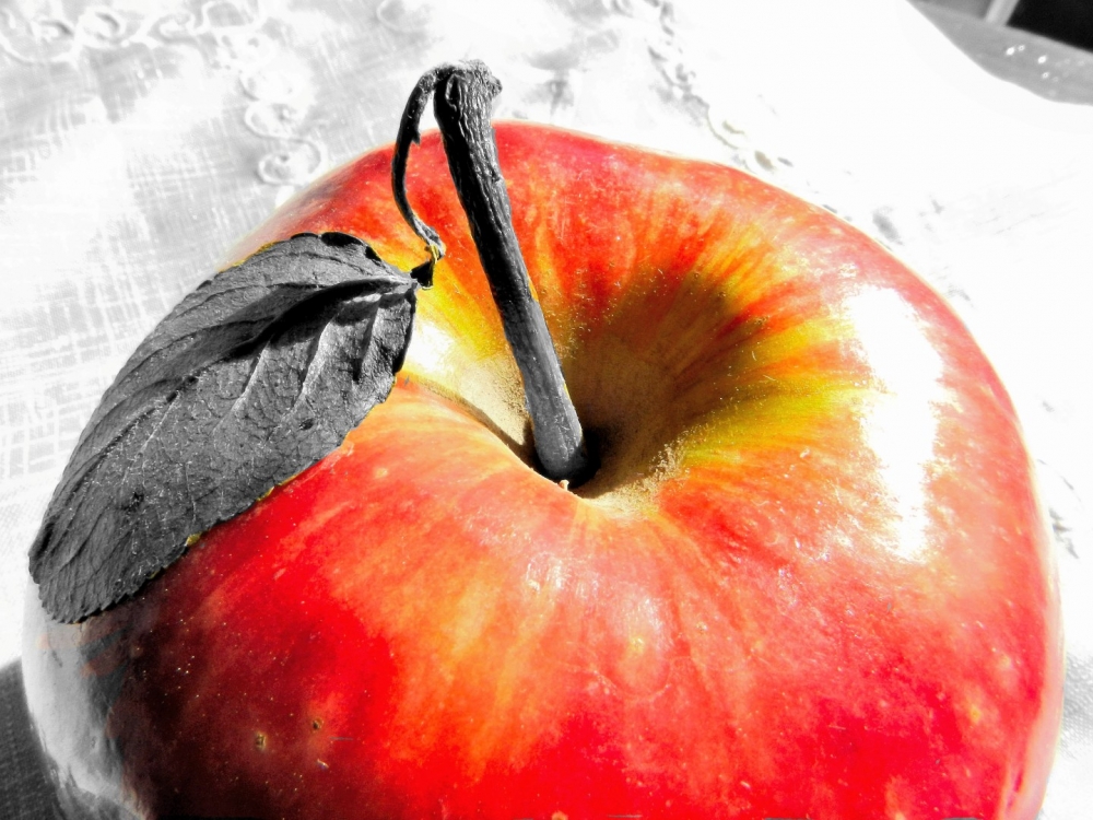 "Fruta de estacin!" de Andrea Maria J Muttis