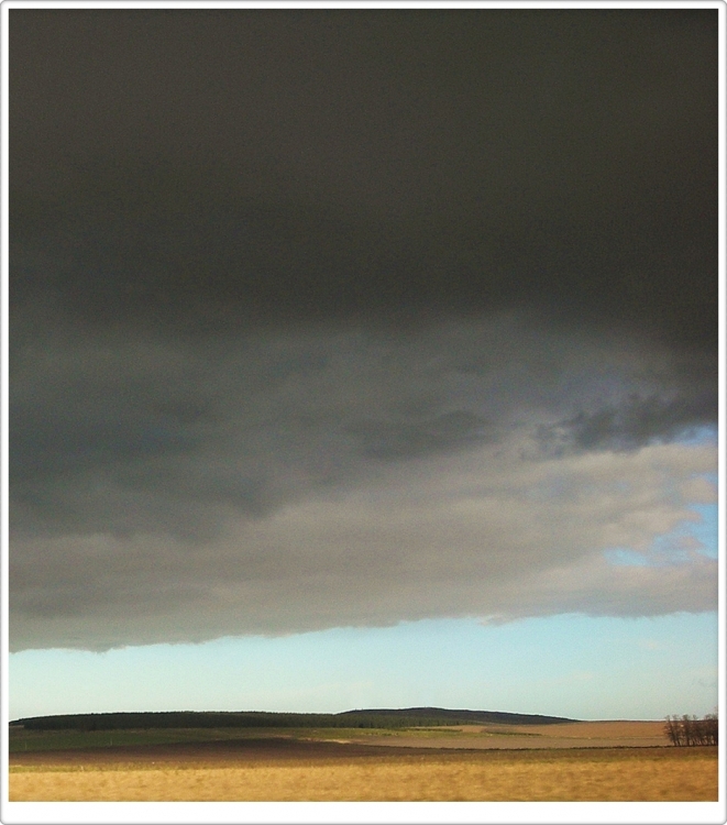 "La tormenta" de Silvia Chamorro