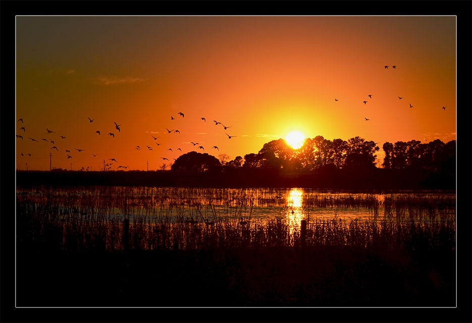 "amanecer en la laguna" de Hugo Carlos Torres