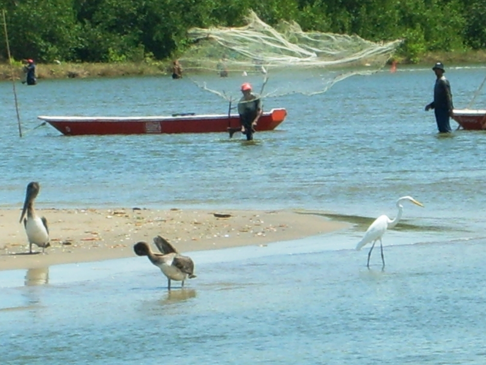 "Pescando" de Piero Francesa