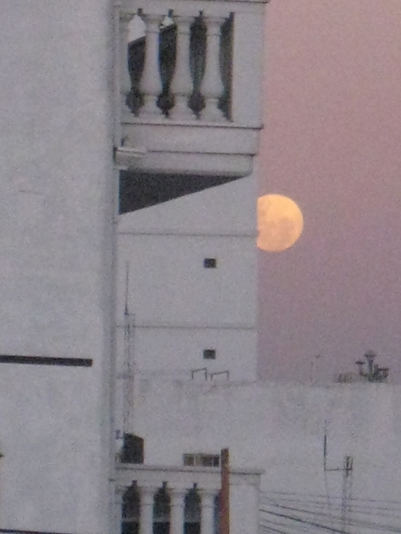 "Luna rosa" de Susana Rodrigues Tuegols