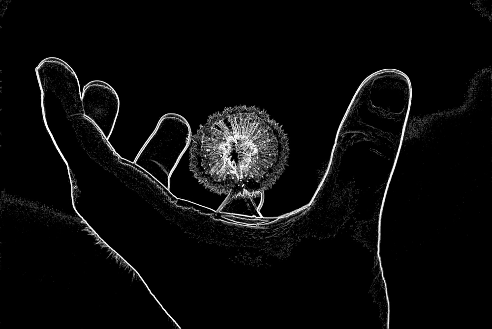 "La mano negra..." de Mauro Sartori