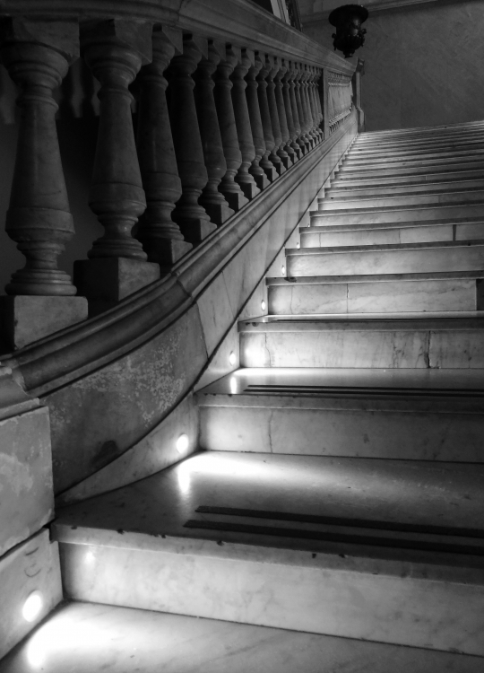 "Escaleras siempre brotan, del piso, de todos lados" de Lucila Lovera