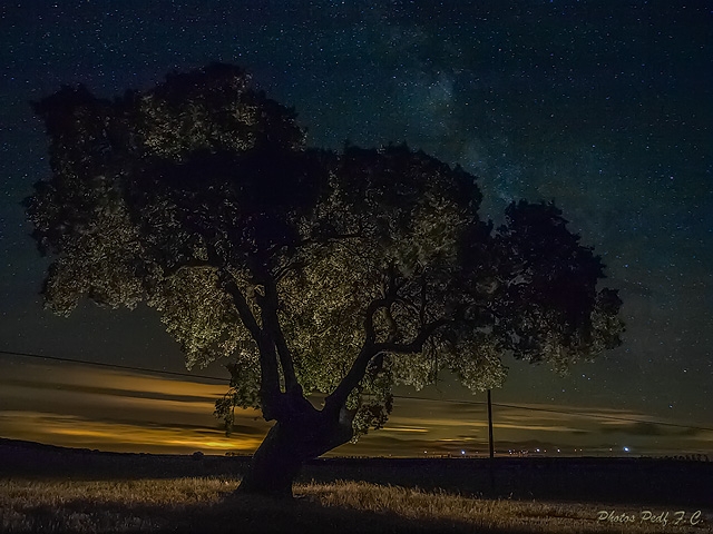 "La encina y la via lactea" de Pedro Fierro C Photography