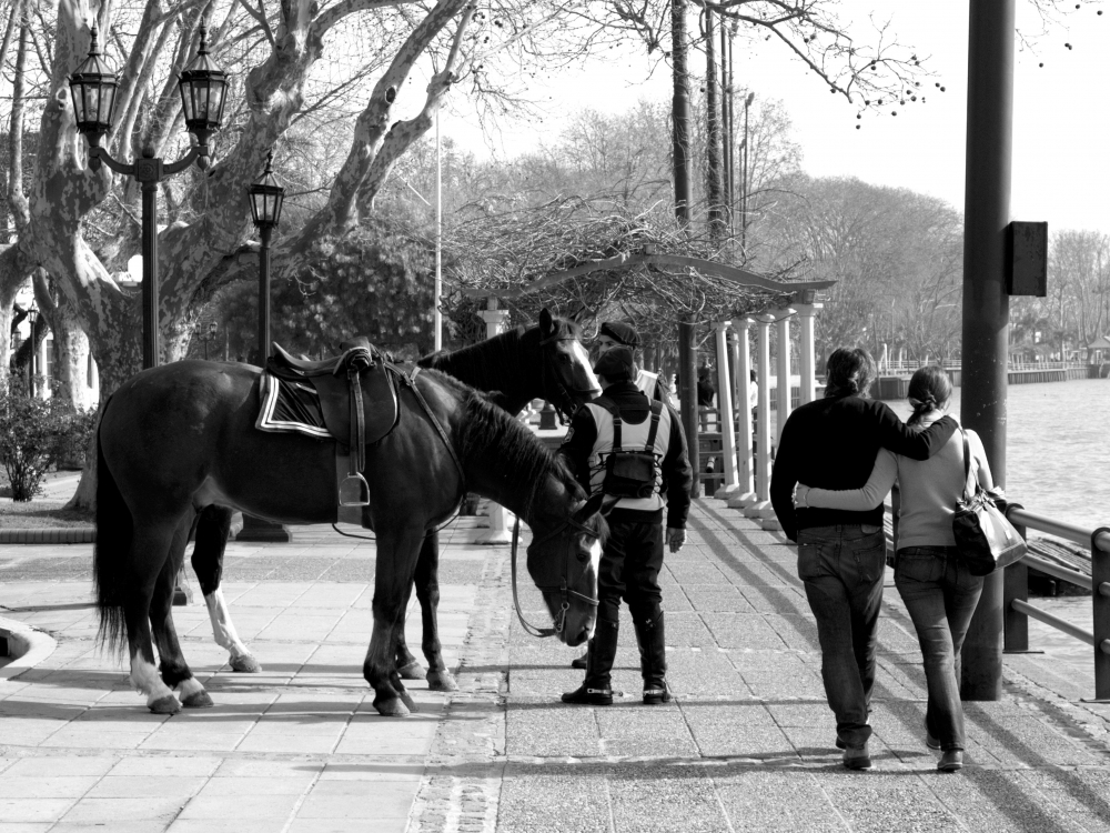 "Parejas" de Agustn Gribodo