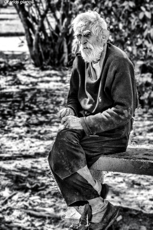 "Anciano" de Carlos Gianoli