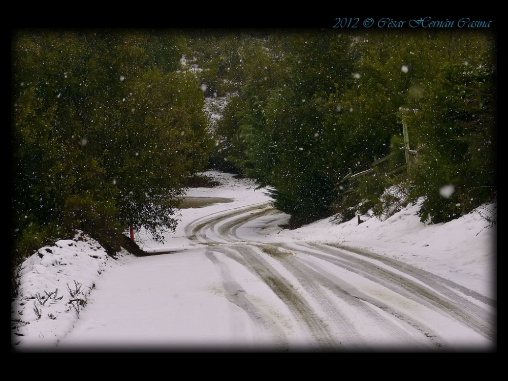 "Vista invernal" de Csar Hernn Cassina