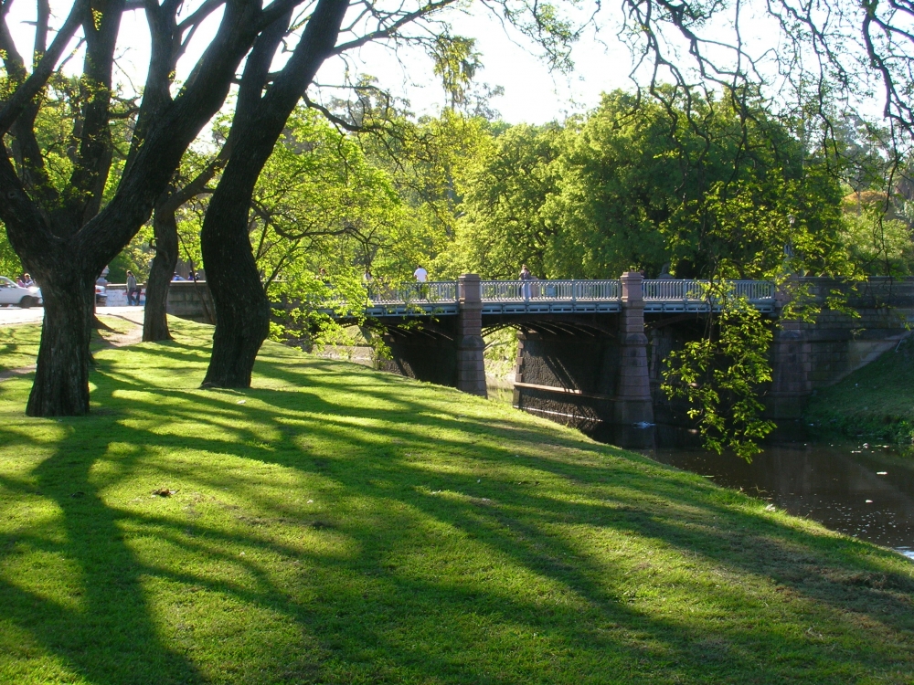 "Paisaje en verde" de Emilio Echesuri