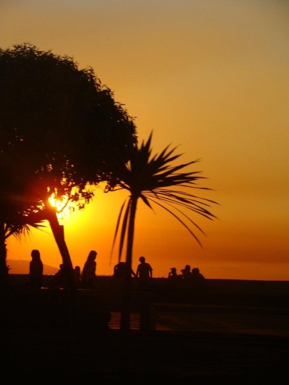 "magia al atardecer" de Gladys Pea Zuiga