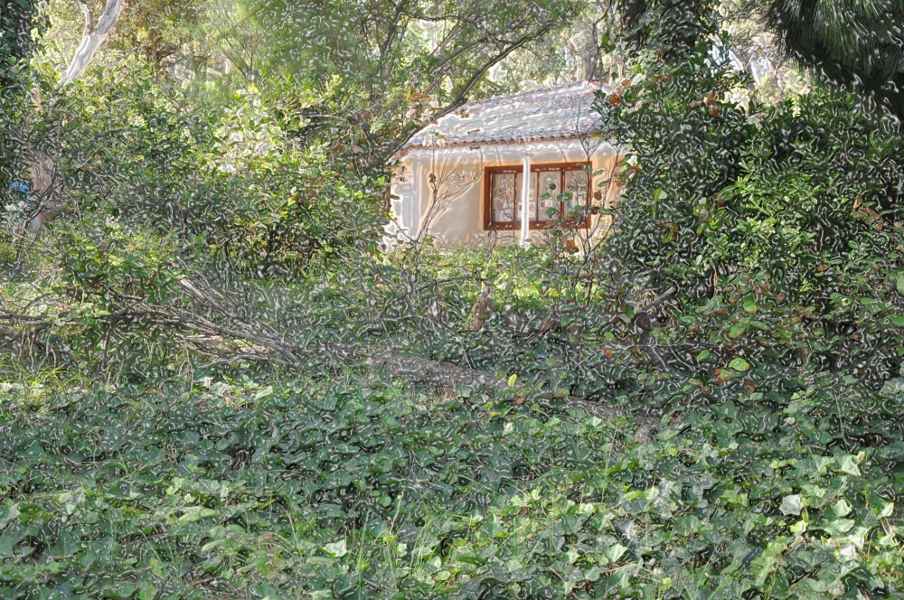 "la casa de Gesell" de Jose Alberto Vicente