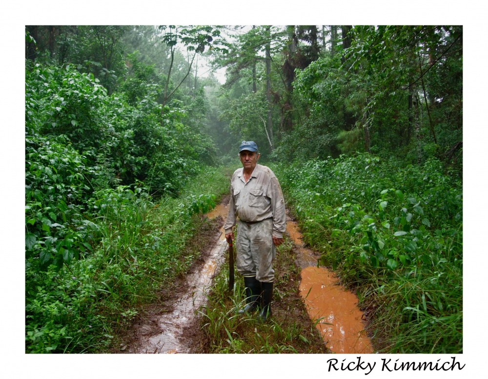"Guardianes de la Selva" de Ricky Kimmich