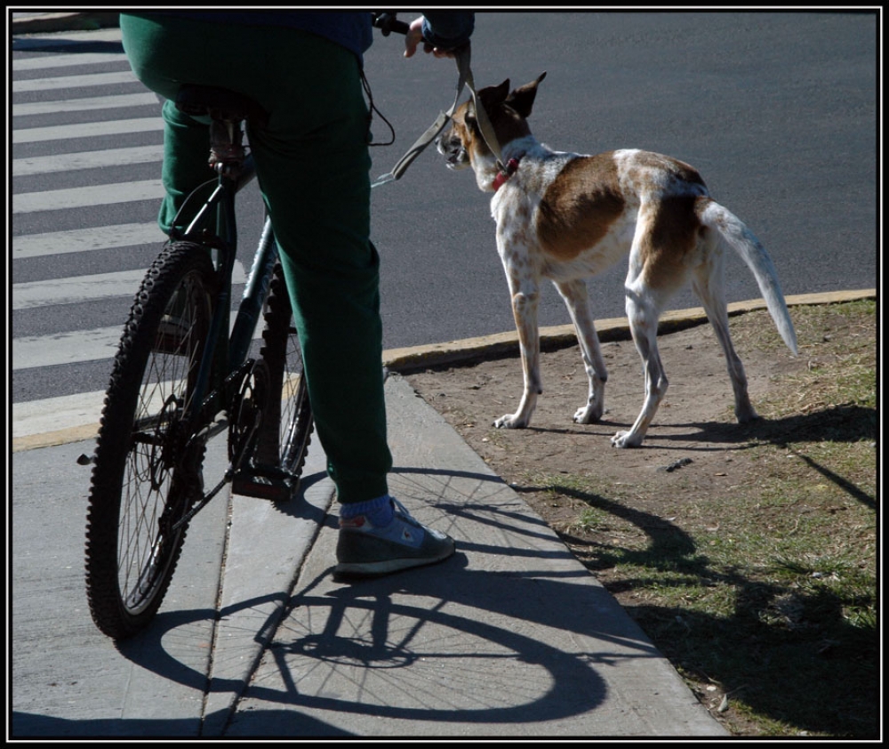 "`Paseando`" de Mascarenhas Cmara. Juan de Brito