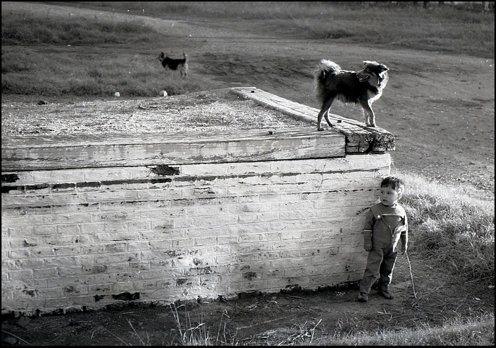 "El nio y el perro" de Jorge Vicente Molinari