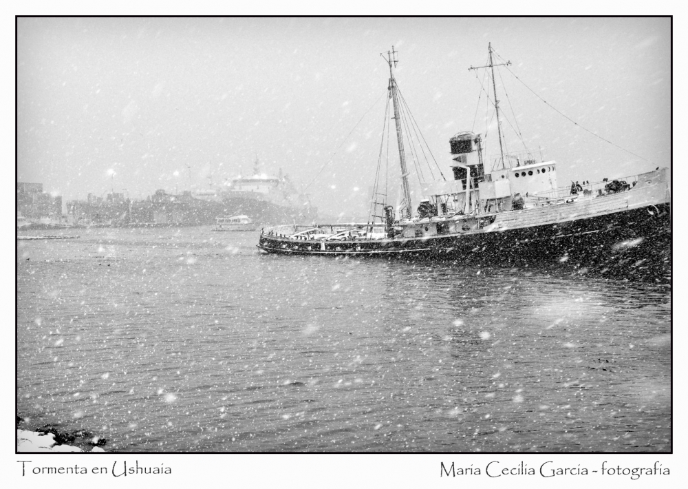 "Tormenta de nieve" de Maria Cecilia Garcia