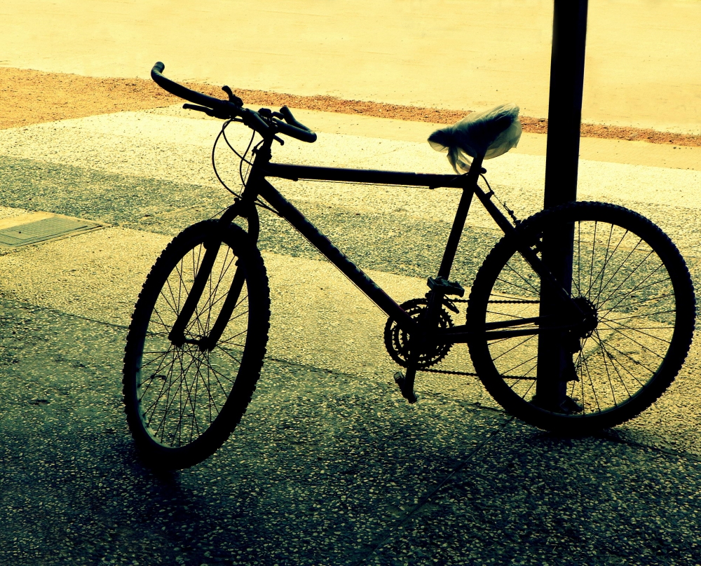 "La Bicicleta" de Julia Morales Furest