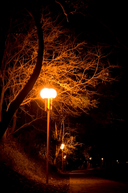 "Caminata nocturna" de Ramn Mioletto