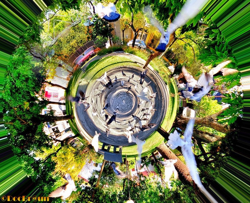 "Little planet de plaza con palomas" de Juan Jos Braun