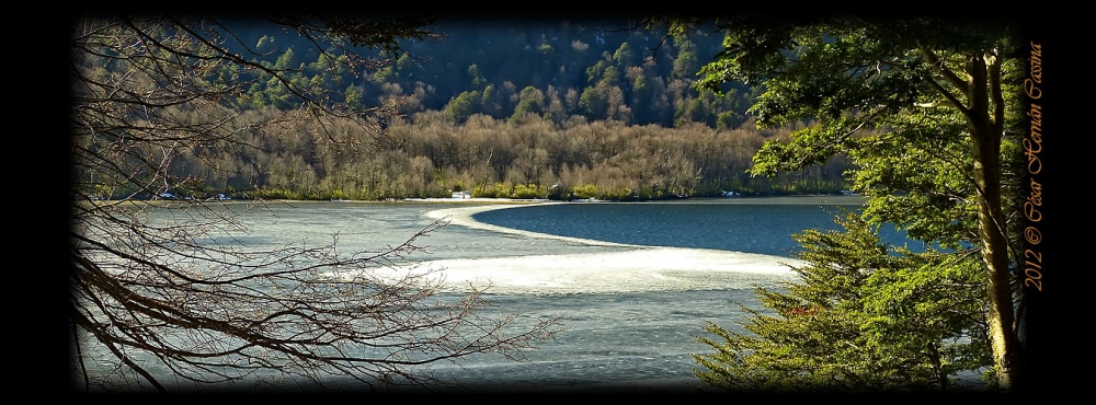 "Laguna Quillelhue 2" de Csar Hernn Cassina