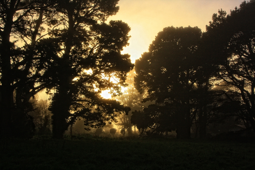 "niebla y sol" de Stella Maris Kippke