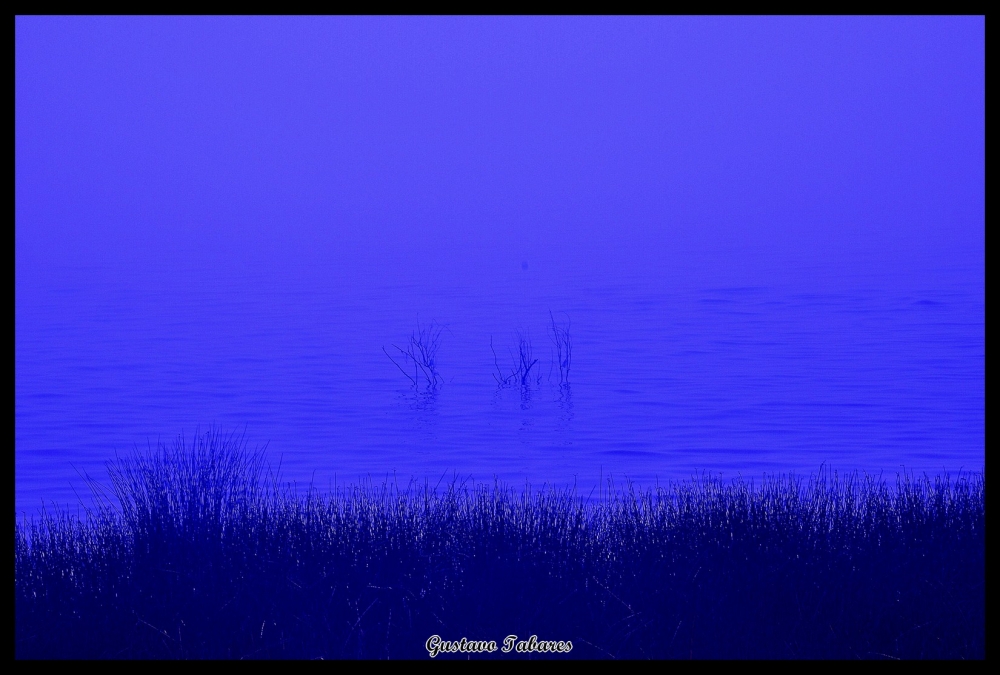 "Niebla en el rio" de Gustavo Tabares