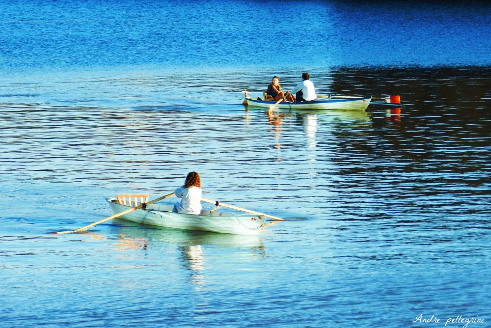 "Paseando en bote" de Andrea Pellegrini