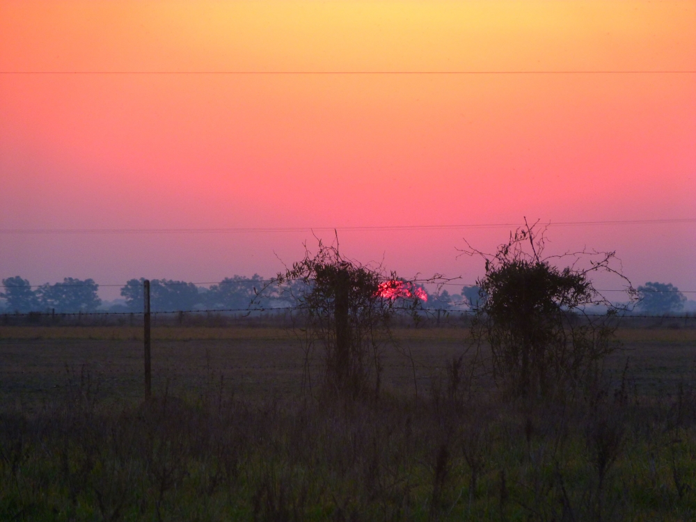 "Atardecer vivido" de Jose Santiago Melita