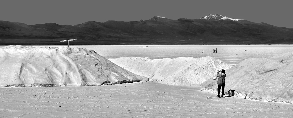 "Salar" de Bernarda Ballesteros