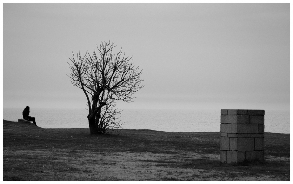 "Contemplacin del mar." de Federico Grieco