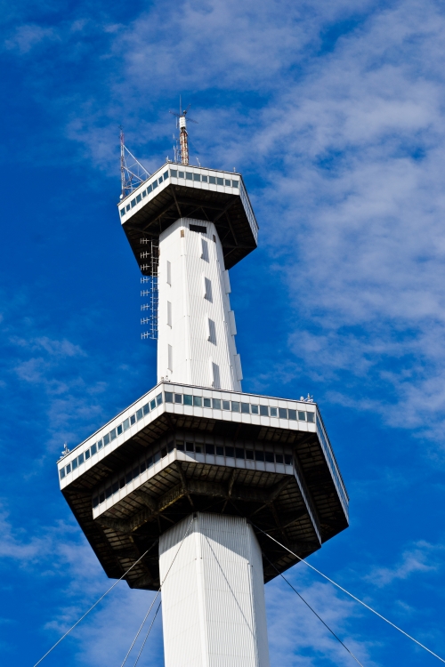 "La torre" de Flavio Scarpettini