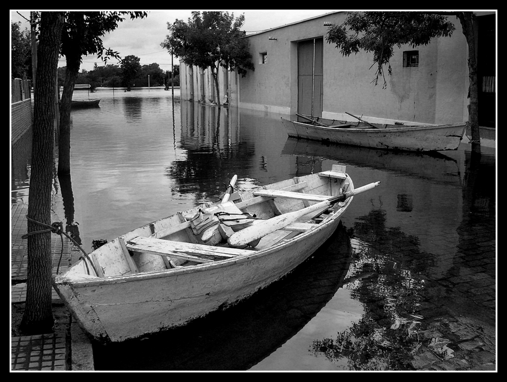 "Drama veneciano" de Julio Strauch