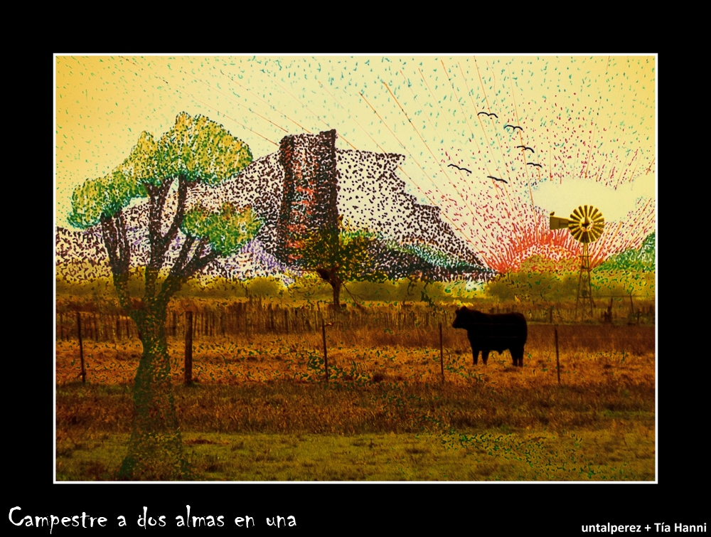 "Campestre a dos almas en una" de Daniel Prez Kchmeister