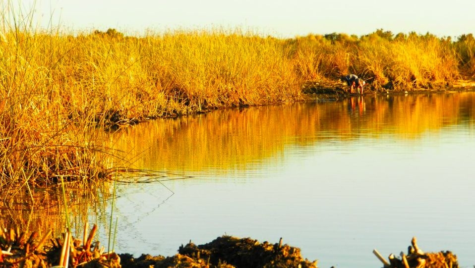 "nios en laguna" de Matias Mayol