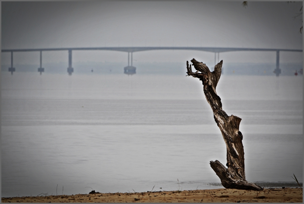 "Observando" de Sylvia Sabatini