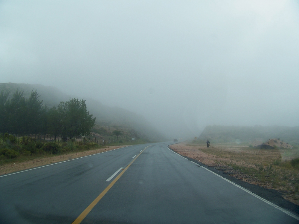 "Niebla" de Mara Del Milagro Nobile