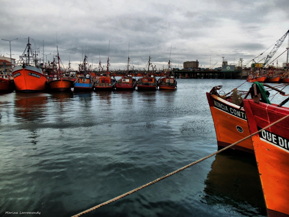 "El Puerto II" de Marina Larramendy