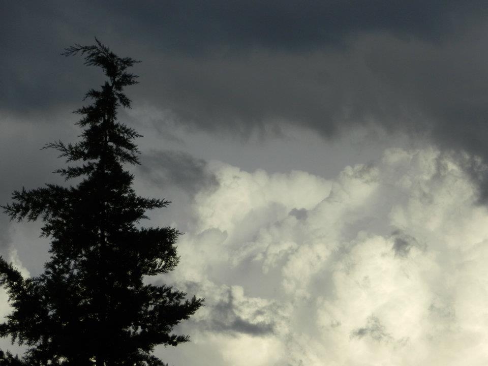 "Tormenta del Este" de Matias Mayol